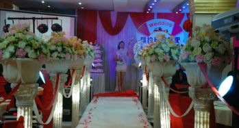 从零到完美 一站式婚礼与庆典策划及用品指南